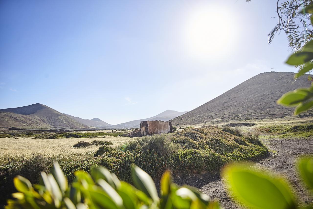 Villa Palmeras Canarias Uga Exterior foto