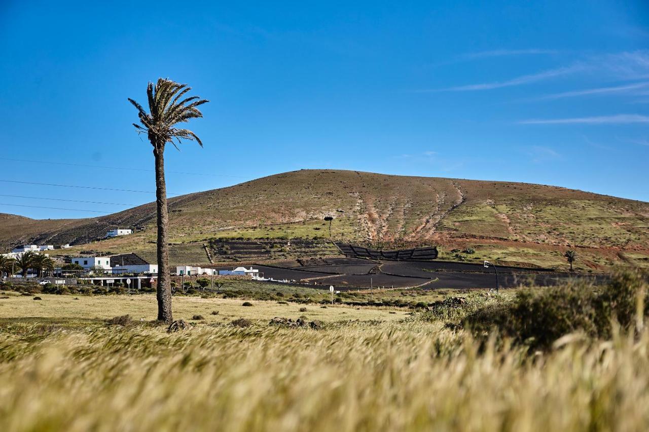 Villa Palmeras Canarias Uga Exterior foto